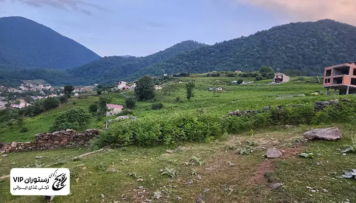 لاویج نور چمستان - لاویج زکوی